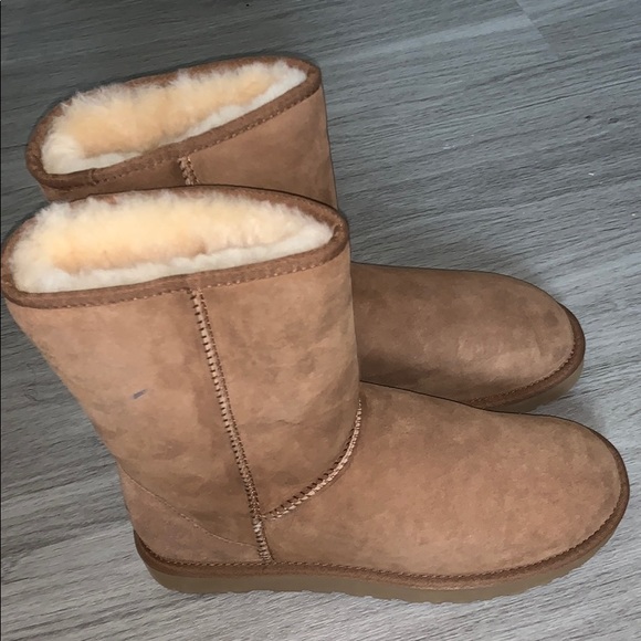 Classic Short Brown Uggs - Picture 3 of 7